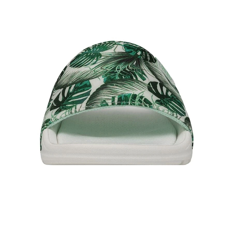 Chandler Youth - Summerdendron 6 Chandler Youth - Summerdendron - Image 4